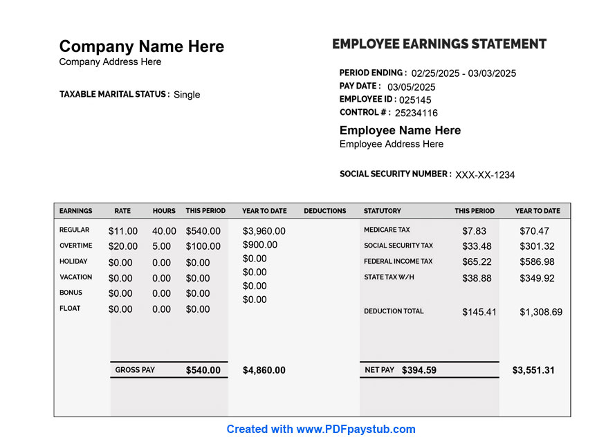 Basic paystub sample showing earnings and hours