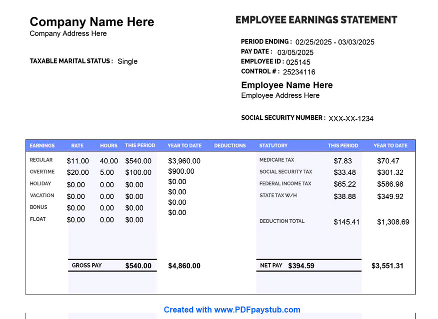 Paystub sample with deductions and net pay