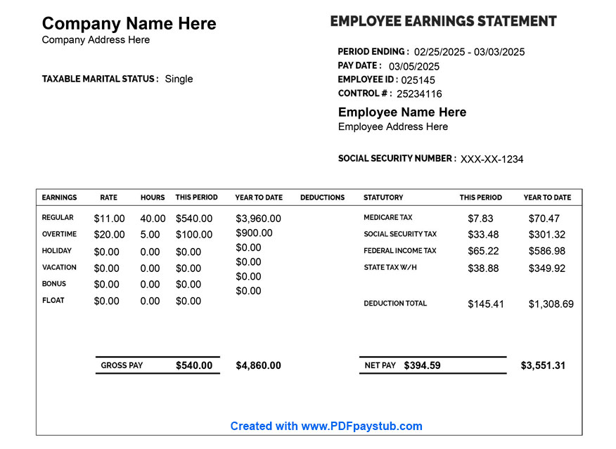Modern paystub design with clean layout