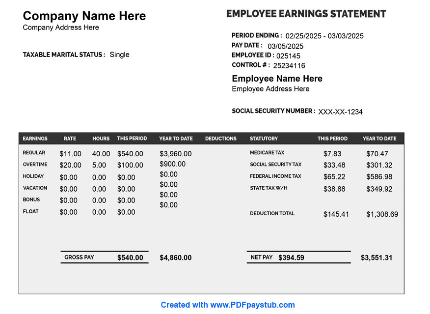 Employee paystub template with salary details